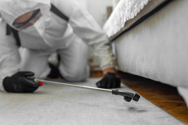 Professional Bed Bug Control technician working in St. Bernard Parish County, LA